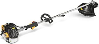 Recensioni di tagliaerba honda professionale