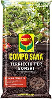 Recensioni di terriccio per bonsai ficus