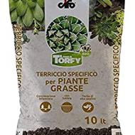 Recensioni di terriccio piante grasse