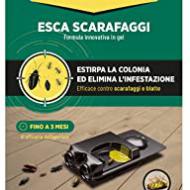Recensioni di trappole per blatte