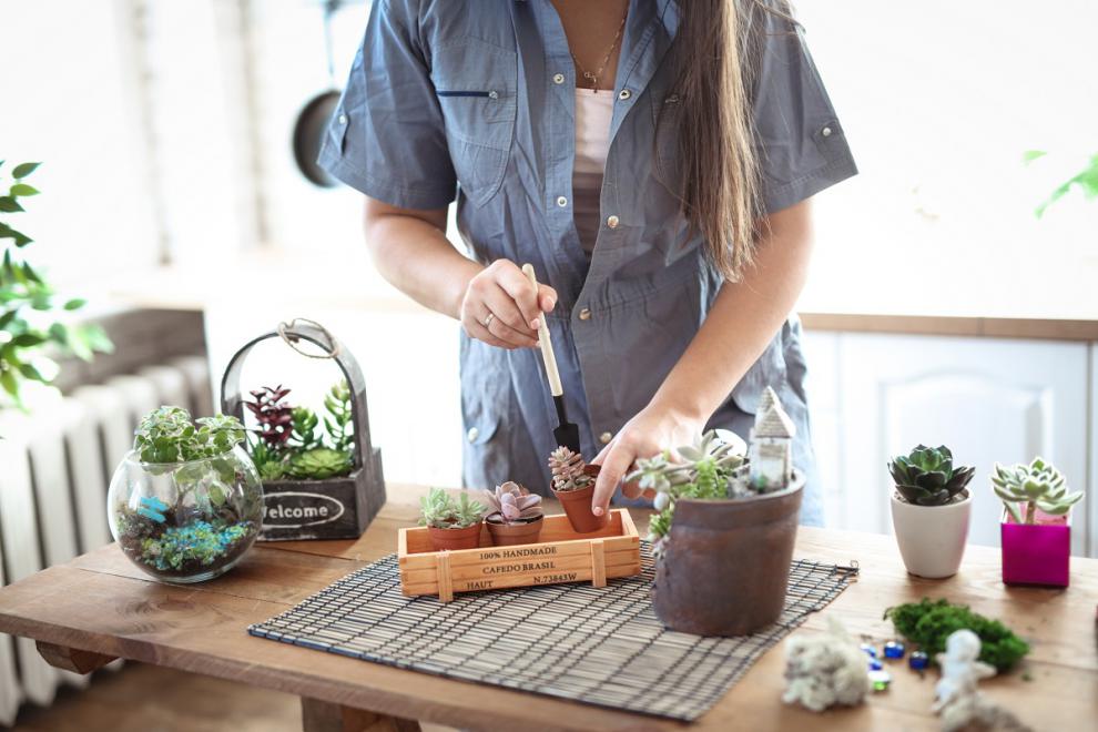 Corsi di giardinaggio