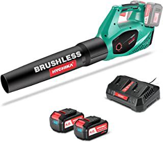 Recensioni di soffiatore aspiratore a batteria stihl