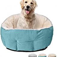Recensioni di cesta per cani