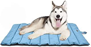 Recensioni di tappeto per cani grandi