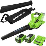 Recensioni di aspiratore foglie a batteria