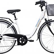 Recensioni di bicicletta donna con cestino